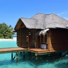 Cabins